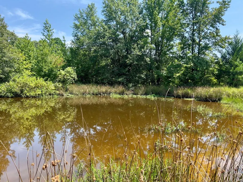 Photo 20 — 80 Sand Road, Haworth, OK 74740