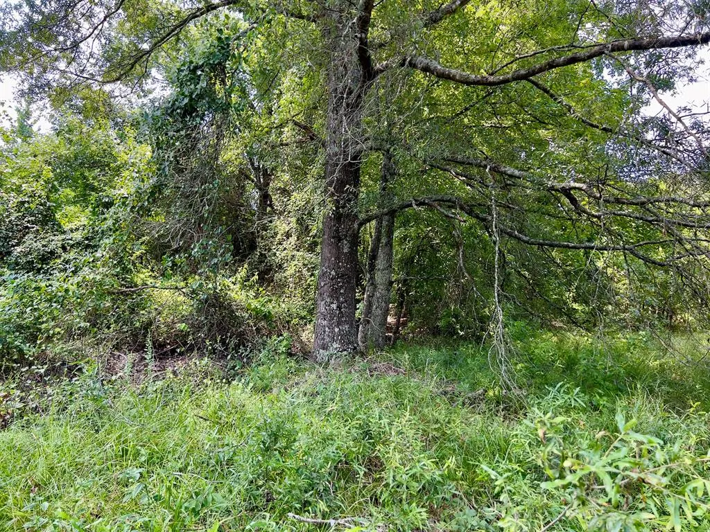 Photo 21 — 80 Sand Road, Haworth, OK 74740