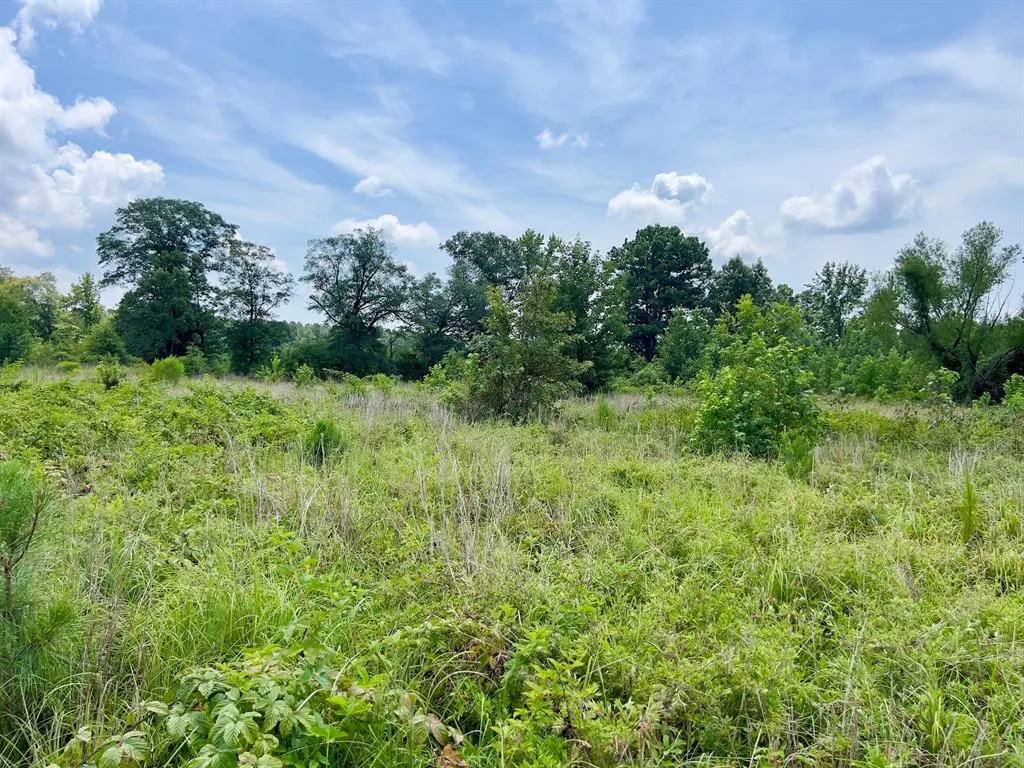 Photo 22 — 80 Sand Road, Haworth, OK 74740