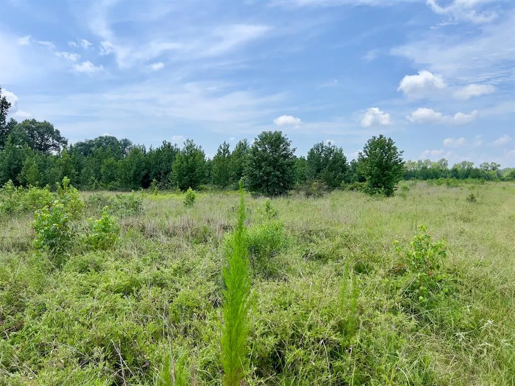 Photo 23 — 80 Sand Road, Haworth, OK 74740