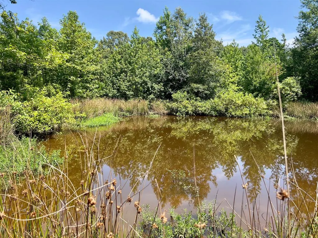 Photo 24 — 80 Sand Road, Haworth, OK 74740