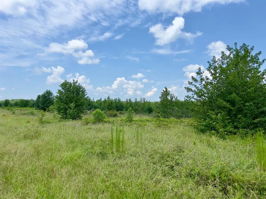 Photo 25 — 80 Sand Road, Haworth, OK 74740