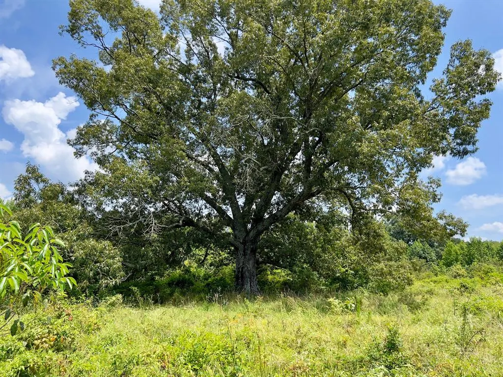 Photo 26 — 80 Sand Road, Haworth, OK 74740