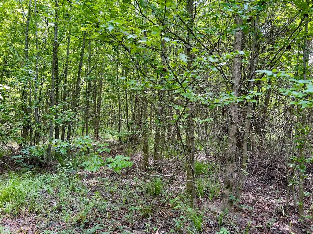 Photo 28 — 80 Sand Road, Haworth, OK 74740