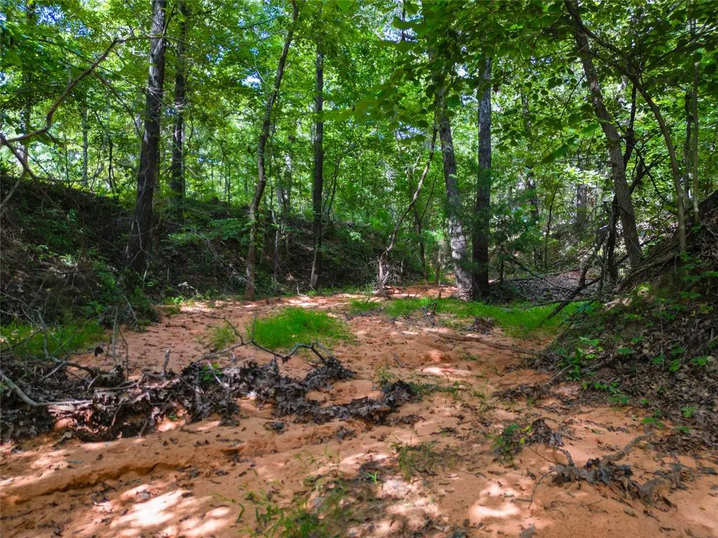 Photo 11 — 11600 S Triple X Road, Newalla, OK 74857