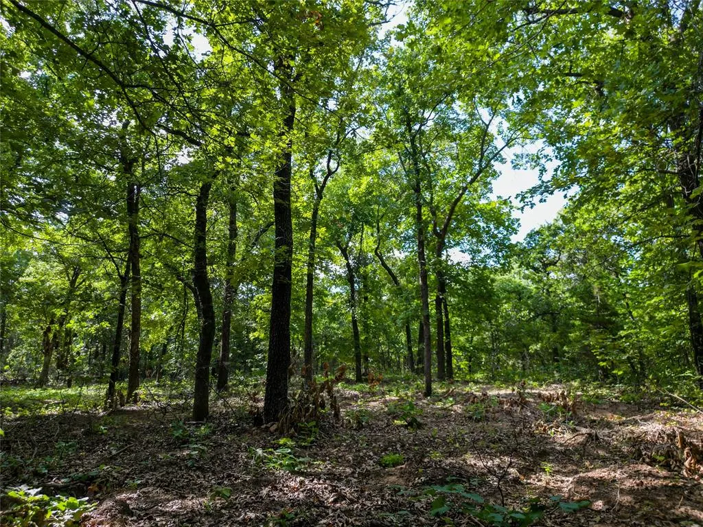 Photo 16 — 11600 S Triple X Road, Newalla, OK 74857