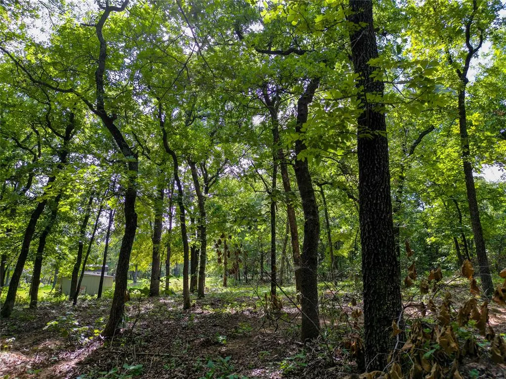 Photo 17 — 11600 S Triple X Road, Newalla, OK 74857