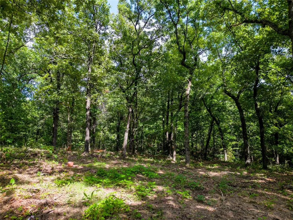 Photo 19 — 11600 S Triple X Road, Newalla, OK 74857