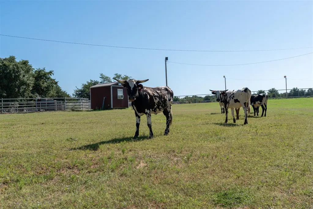 Photo 29 — 98038 N 3745 Road, Okemah, OK 74859