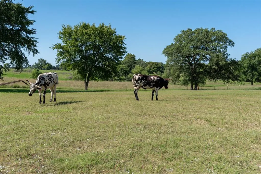 Photo 31 — 98038 N 3745 Road, Okemah, OK 74859