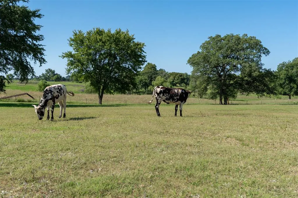 Photo 32 — 98038 N 3745 Road, Okemah, OK 74859