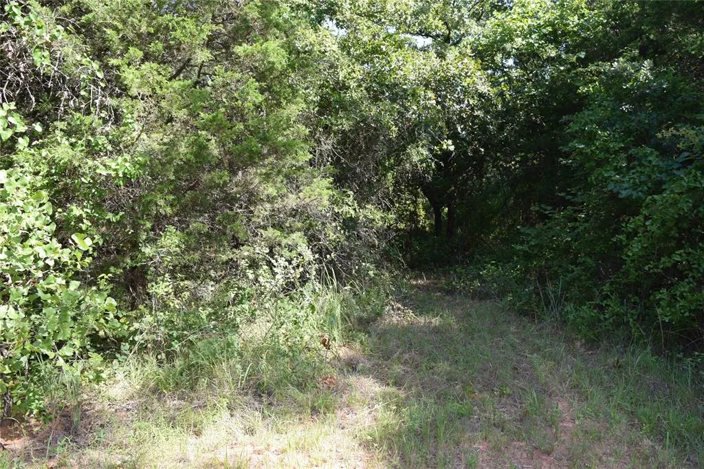 Photo 6 — 9209 Hazy Brook Drive, Newalla, OK 74857