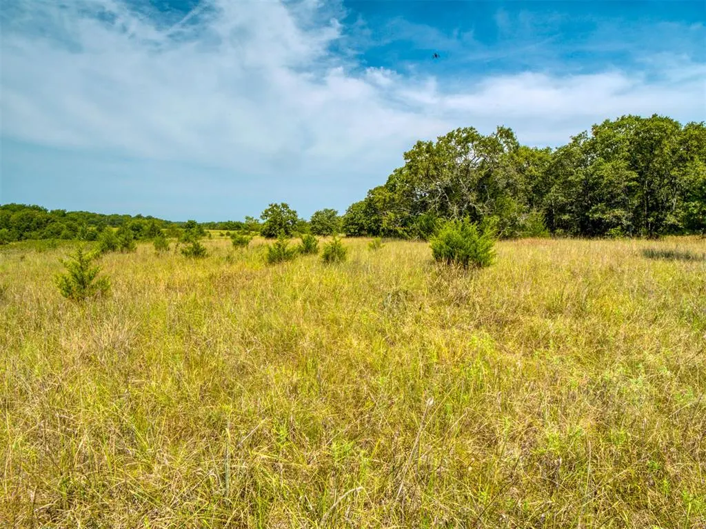 Photo 40 — 36371 Anderson Rd., Macomb, OK 74852
