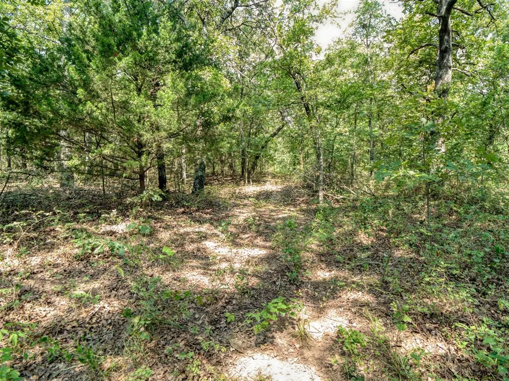Photo 42 — 36371 Anderson Rd., Macomb, OK 74852