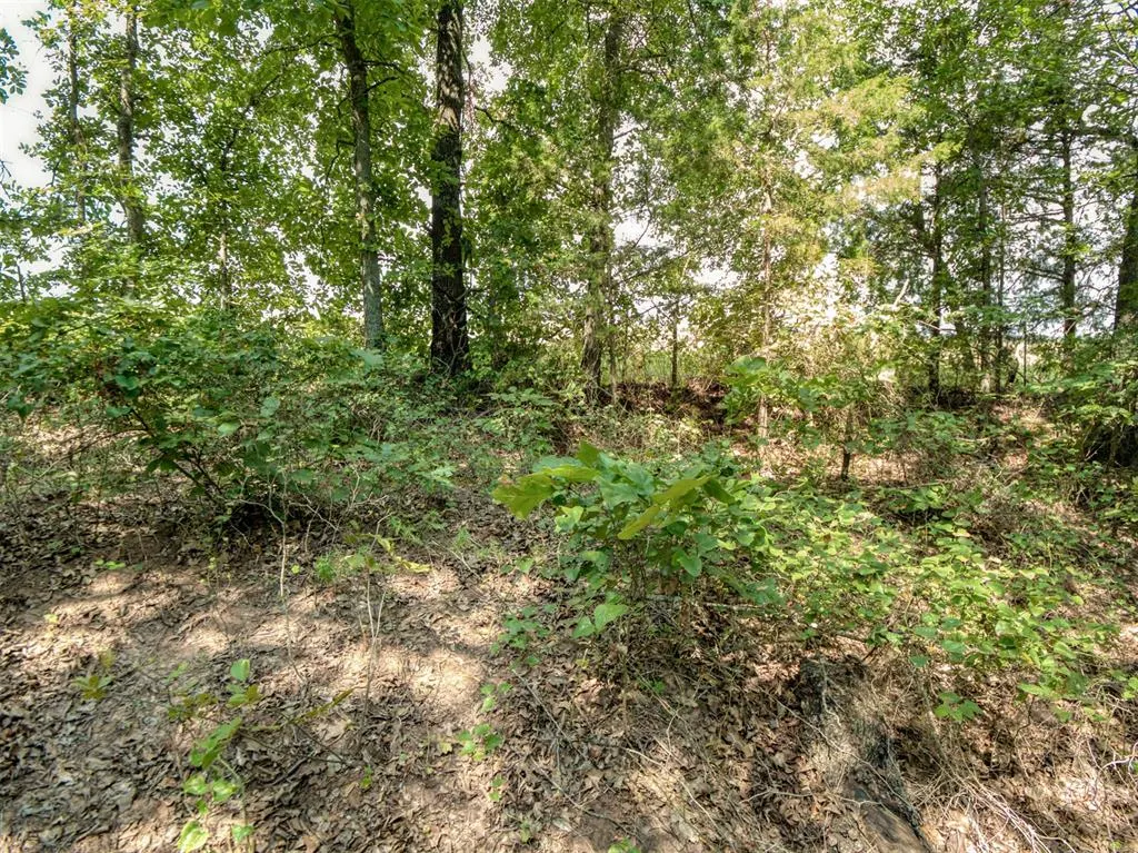 Photo 43 — 36371 Anderson Rd., Macomb, OK 74852