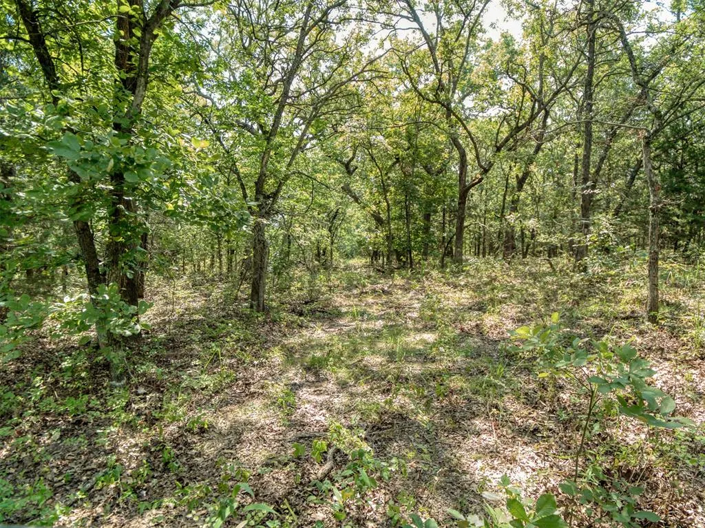 Photo 44 — 36371 Anderson Rd., Macomb, OK 74852