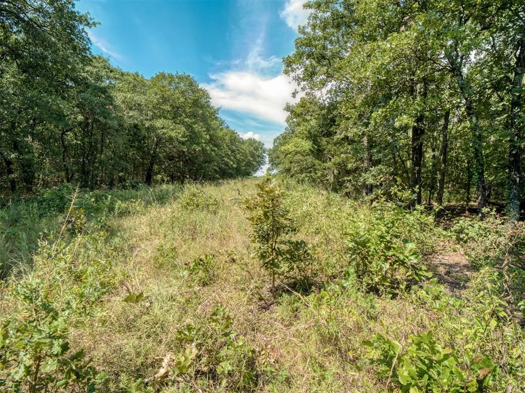 Photo 45 — 36371 Anderson Rd., Macomb, OK 74852