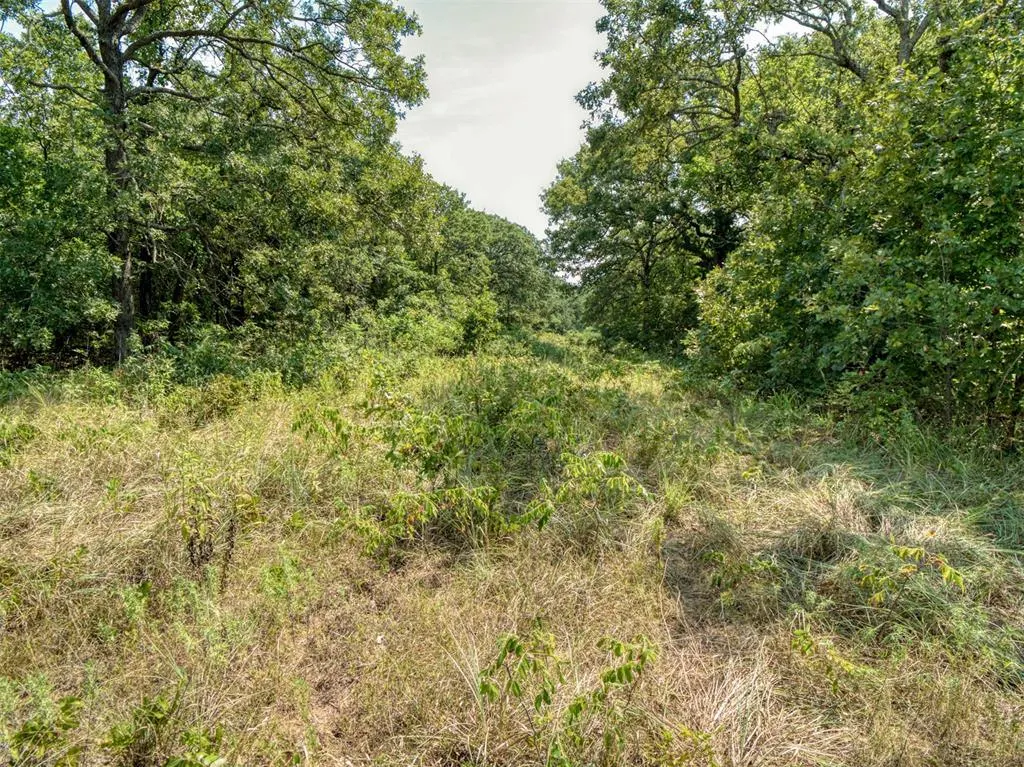 Photo 46 — 36371 Anderson Rd., Macomb, OK 74852