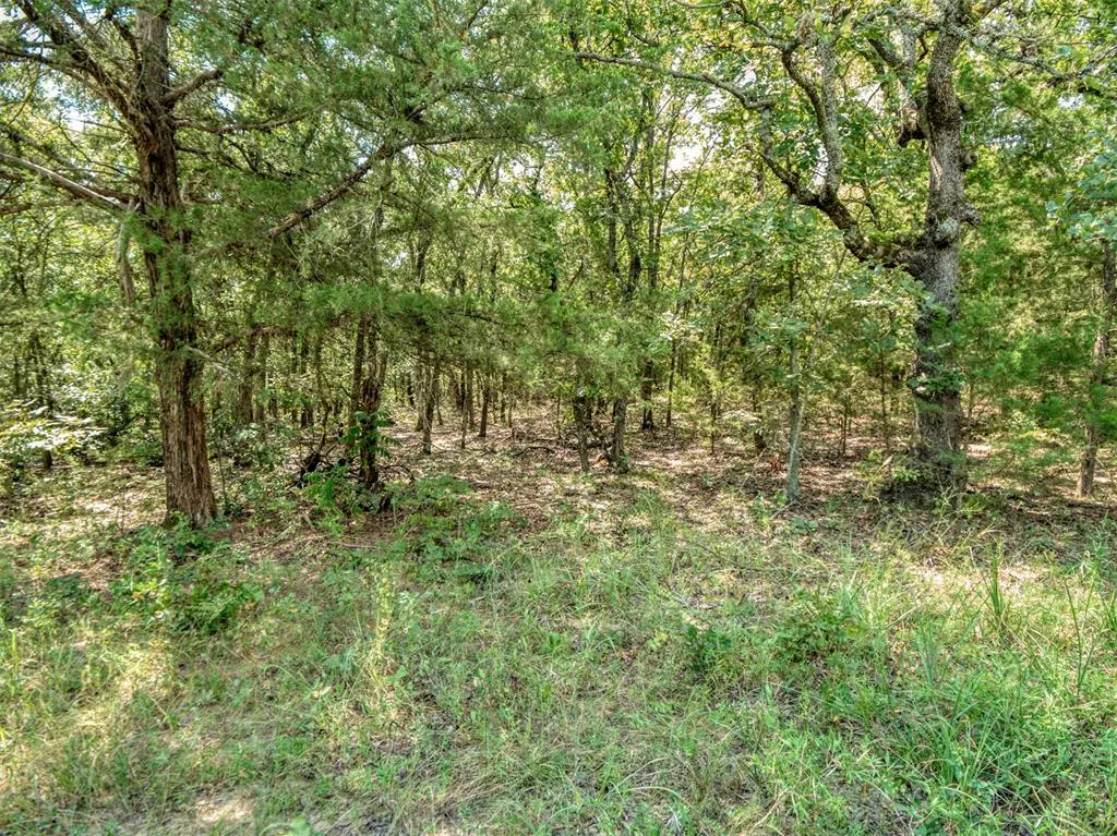 Photo 47 — 36371 Anderson Rd., Macomb, OK 74852
