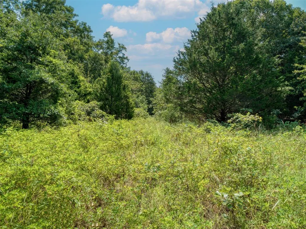 Photo 48 — 36371 Anderson Rd., Macomb, OK 74852