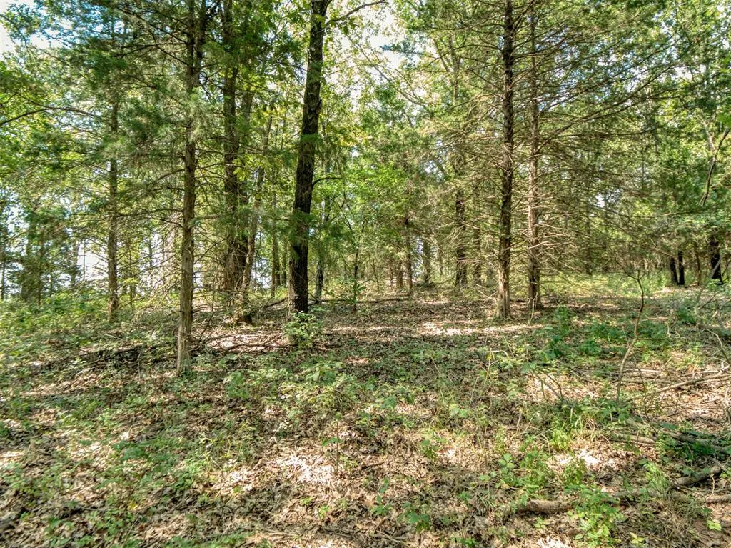 Photo 49 — 36371 Anderson Rd., Macomb, OK 74852