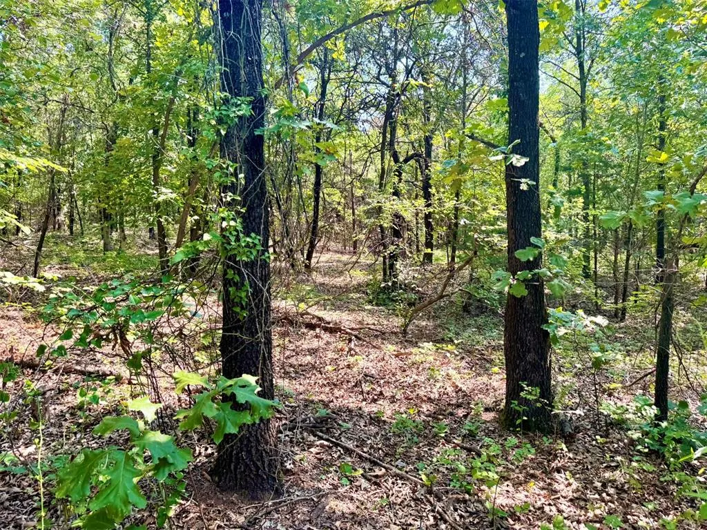 Photo 22 — 000 N Harrah Road, Luther, OK 73054
