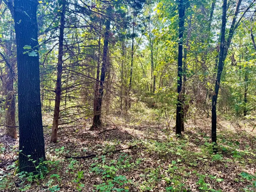 Photo 24 — 000 N Harrah Road, Luther, OK 73054