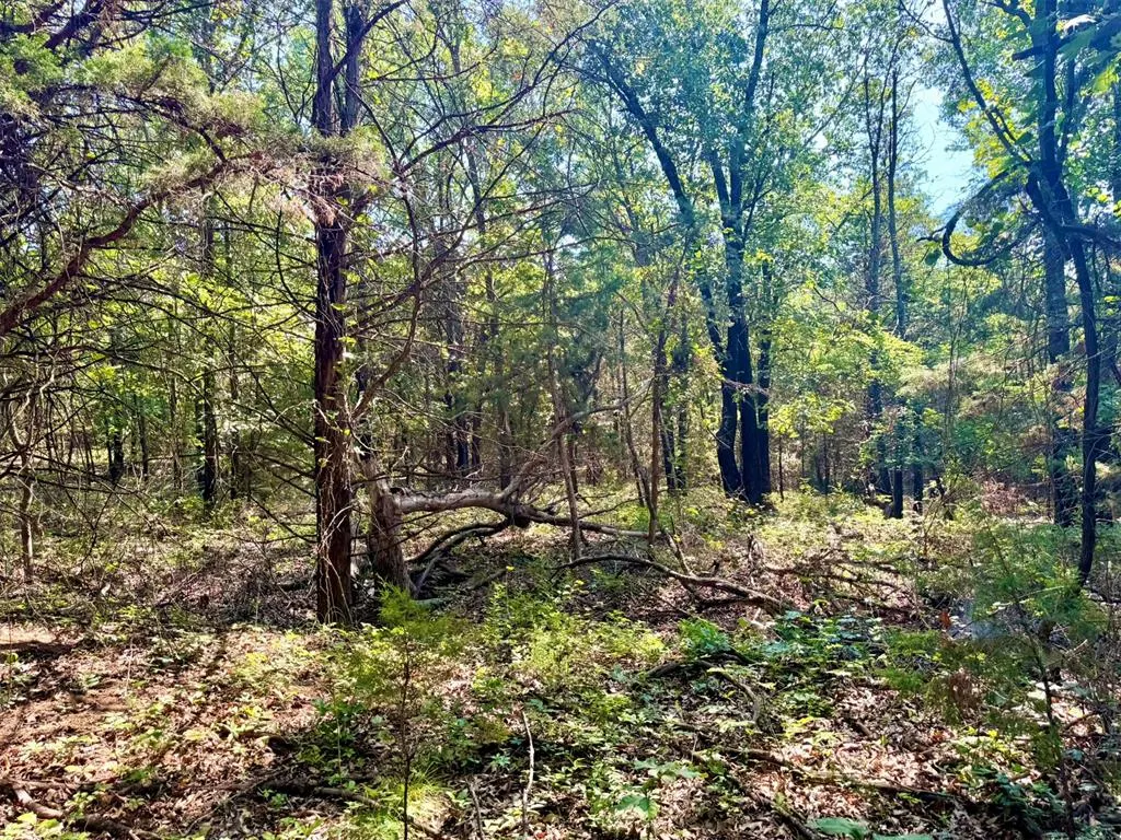 Photo 25 — 000 N Harrah Road, Luther, OK 73054