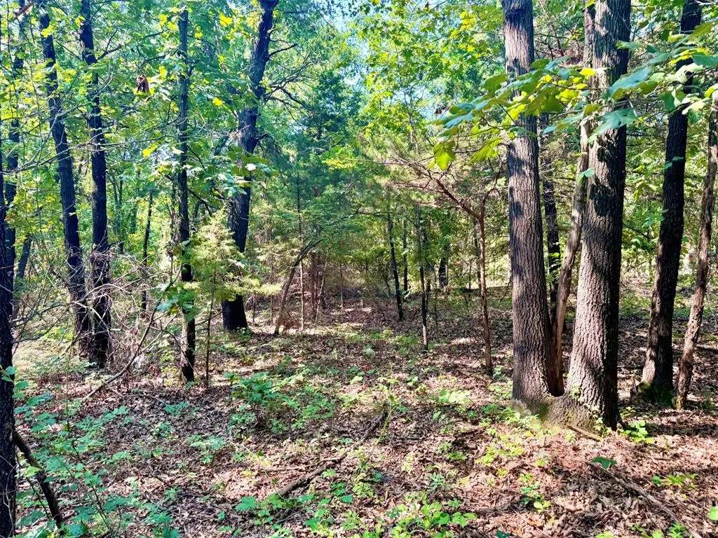 Photo 26 — 000 N Harrah Road, Luther, OK 73054