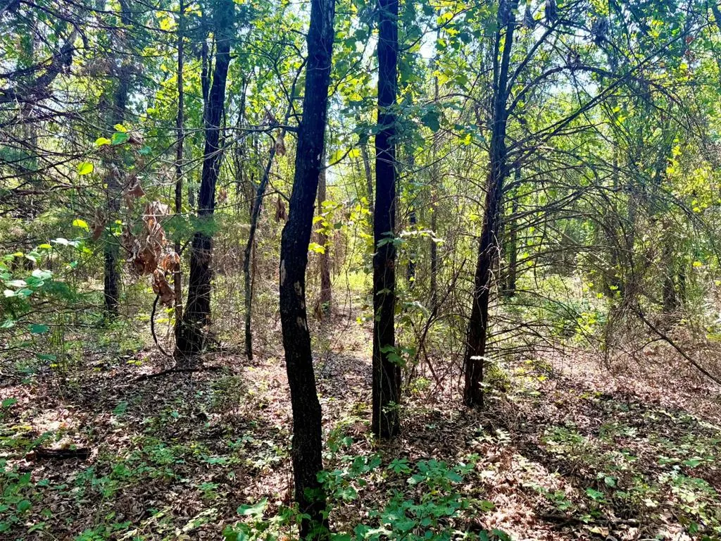 Photo 28 — 000 N Harrah Road, Luther, OK 73054