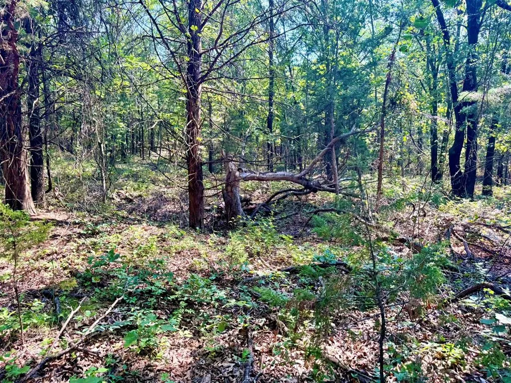 Photo 29 — 000 N Harrah Road, Luther, OK 73054