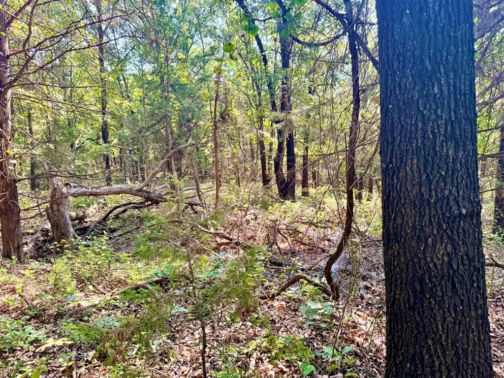 Photo 30 — 000 N Harrah Road, Luther, OK 73054