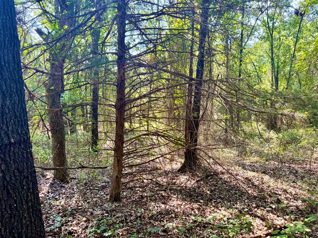 Photo 31 — 000 N Harrah Road, Luther, OK 73054