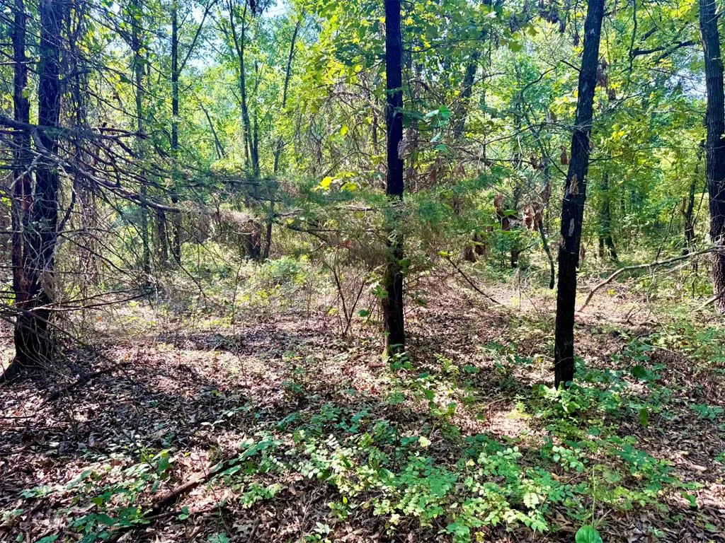 Photo 32 — 000 N Harrah Road, Luther, OK 73054