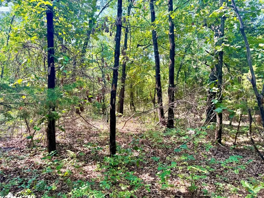 Photo 33 — 000 N Harrah Road, Luther, OK 73054