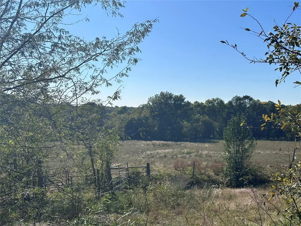 Photo 21 — 2710 Redland Road, Idabel, OK 74745