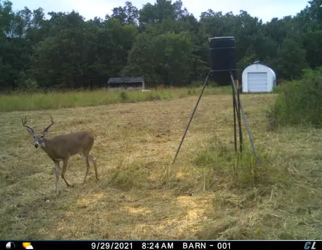 Photo 2 — S 3410 Road, Chandler, OK 74834