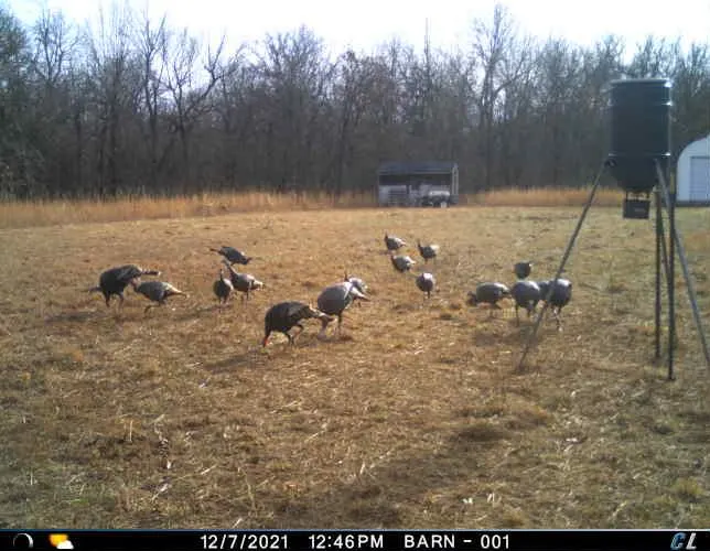 Photo 12 — S 3410 Road, Chandler, OK 74834