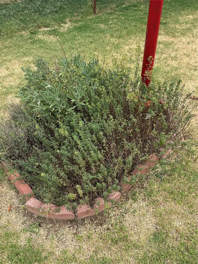 Photo 28 — 713 S Mahan Avenue, El Reno, OK 73036