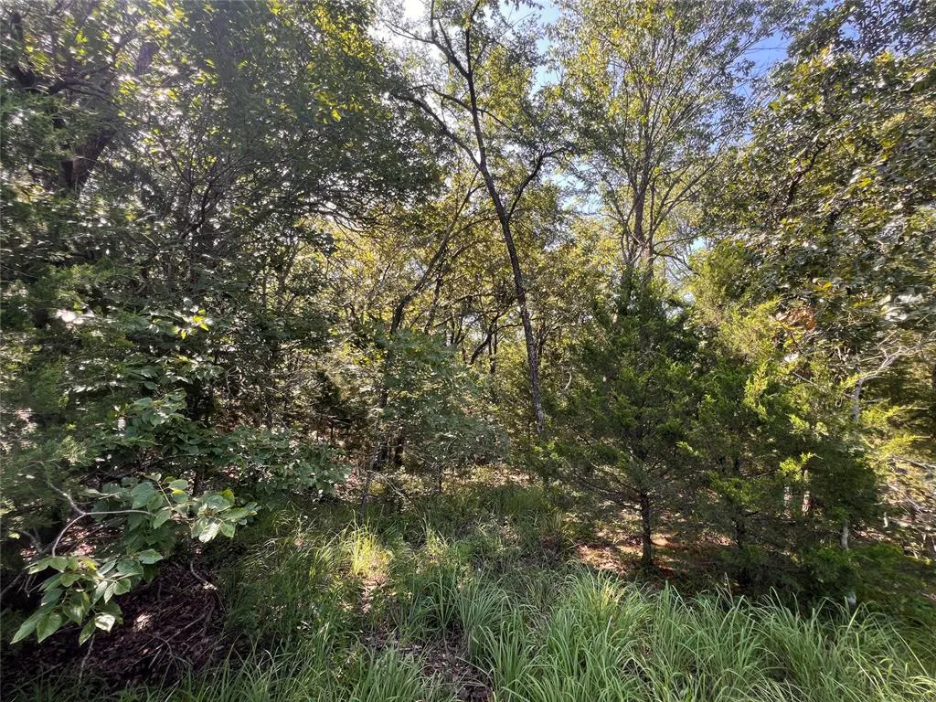 Photo 8 — 0000 E 1180 Road, Wetumka, OK 74883