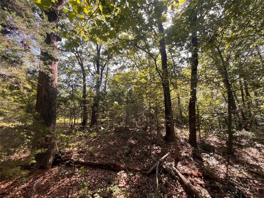 Photo 9 — 0000 E 1180 Road, Wetumka, OK 74883