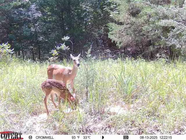 Photo 13 — 0000 E 1180 Road, Wetumka, OK 74883
