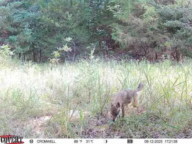Photo 14 — 0000 E 1180 Road, Wetumka, OK 74883