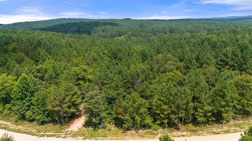 Photo 6 — 418 Kaisley Blue Eye Way, Broken Bow, OK 74728