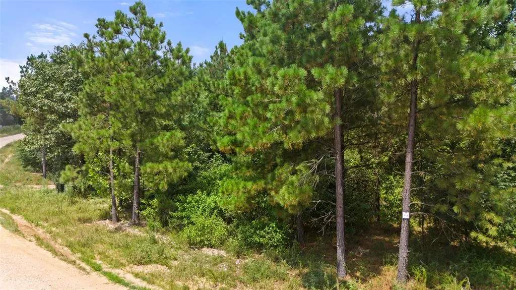 Photo 7 — 418 Kaisley Blue Eye Way, Broken Bow, OK 74728