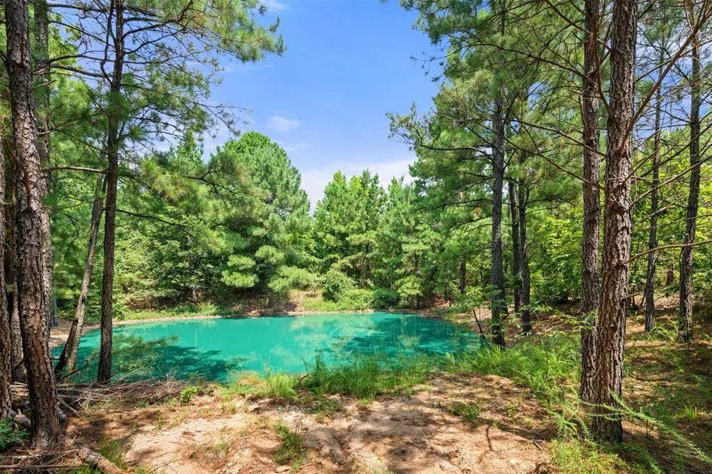 Photo 3 — 415 White Ash Lane, Broken Bow, OK 74728