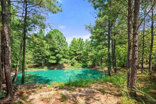 Photo 3 — 415 White Ash Lane, Broken Bow, OK 74728