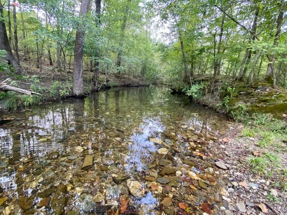 Photo 37 — 875 N Lukfata Trail Road, Broken Bow, OK 74728