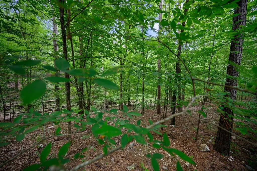 Photo 5 — 46 Ashberry Circle, Broken Bow, OK 74728