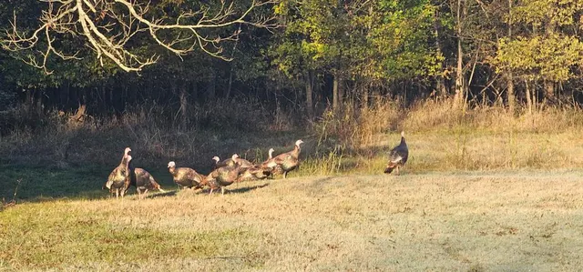 Photo 3 — NS 372 Road, Holdenville, OK 74848